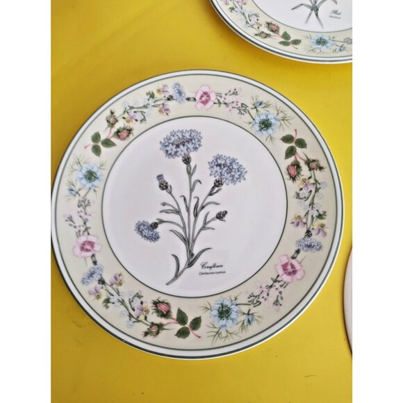 Aynsley Bone China collectors plates set Flowers From the Gardens of Old England - Picture 13 of 16
